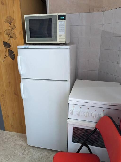Appartement Le Nid à La Bourboule Extérieur photo